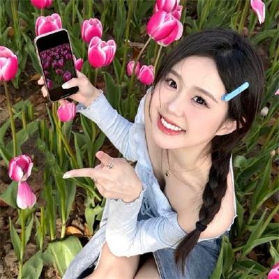 南北少林